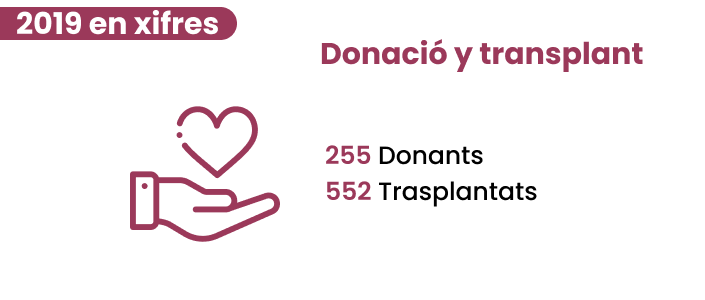 Donació i trasplantament, 2019 en xifres
